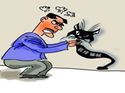 家装中的猫腻到底有多少?