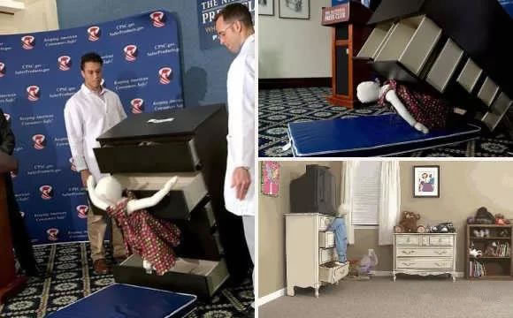 中国整木网 中国整木网