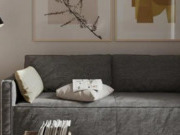 兔宝宝成立上海公司，打造高端市场新名片