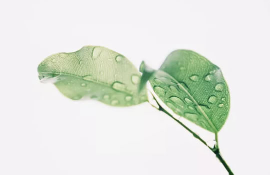 中国整木网 中国整木网