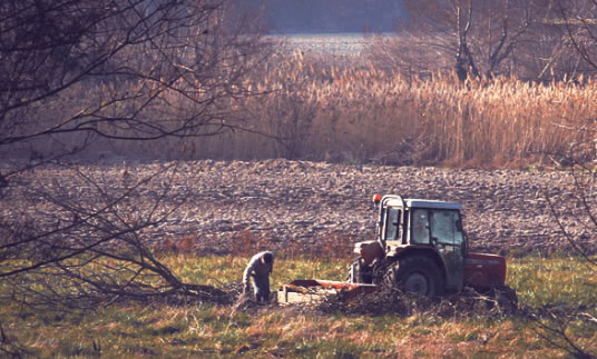 中国整木网 中国整木网