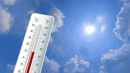 中国整木网 中国整木网