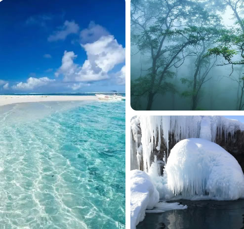 中国整木网 中国整木网